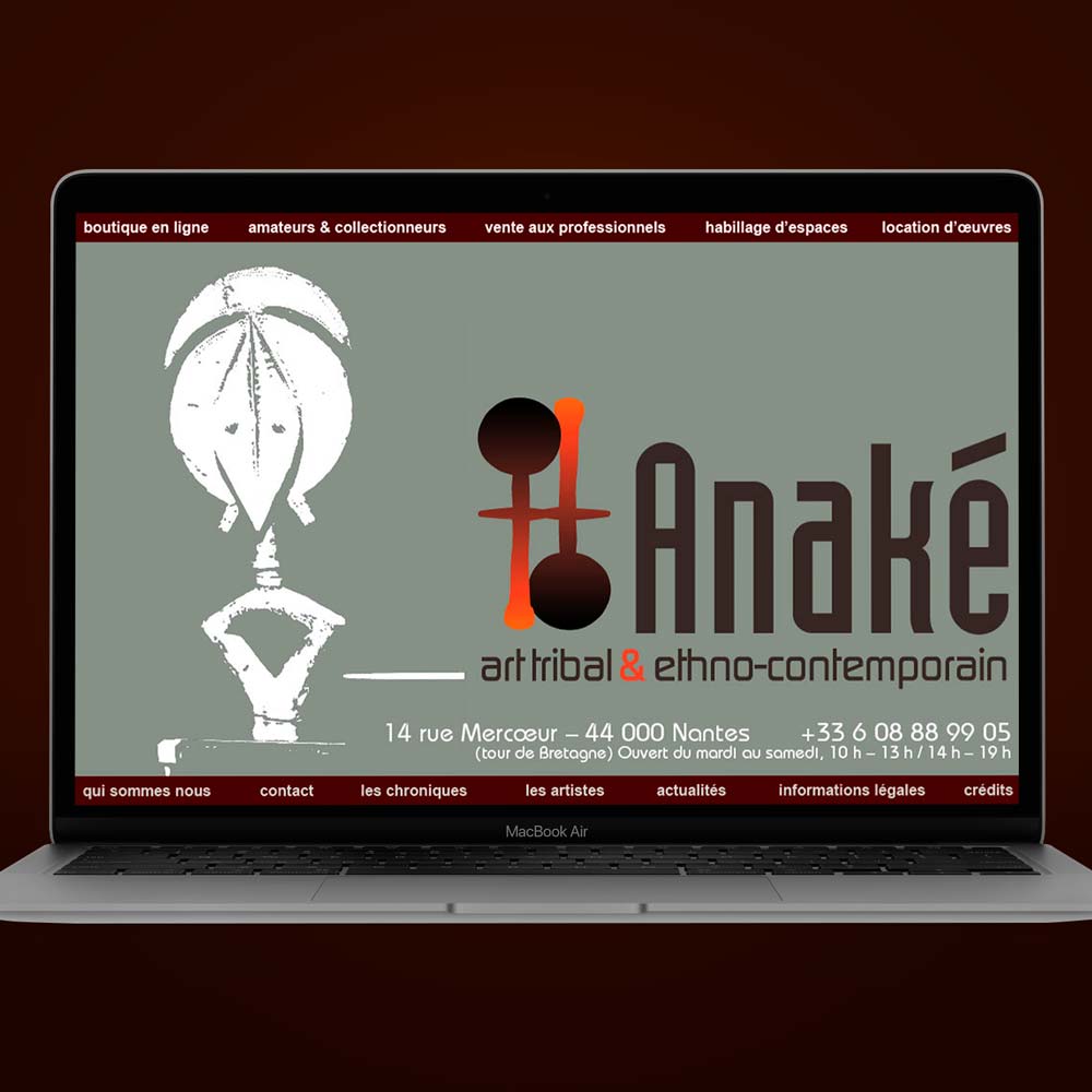Pré-proposition page d'accueil de la boutique en ligne d'Anaké